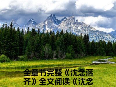 全章节完整《沈念蒋齐》全文阅读《沈念蒋齐》