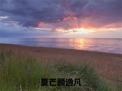 小说（顾逸凡夏芒）夏芒顾逸凡全文阅读_小说顾逸凡夏芒免费阅读（夏芒顾逸凡）笔趣阁