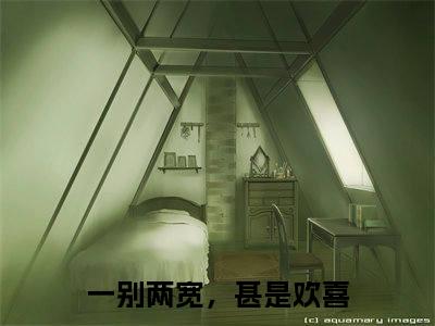 一别两宽，甚是欢喜小说完整版阅读-（漫霓薛平信）小说全文免费阅读