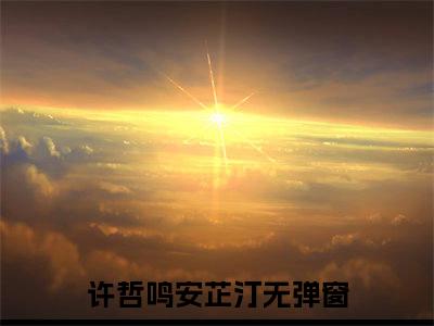 许哲鸣安芷汀小说精彩章节-主角为许哲鸣安芷汀在线阅读