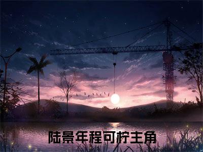 陆景年程可柠最新热点小说-陆景年程可柠免费观看完结版