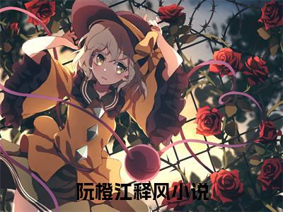 阮橙江释风（阮橙江释风免费小说）全文免费阅读无弹窗大结局_阮橙江释风免费小说最新章节列表_笔趣阁