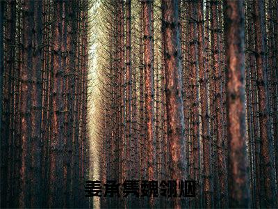 姜承隽魏翎烟2023热门榜单首发小说阅读无弹窗 姜承隽魏翎烟言情小说最新章节