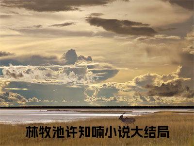 林牧池许知喃免费小说 林牧池许知喃在线小说免费阅读目录