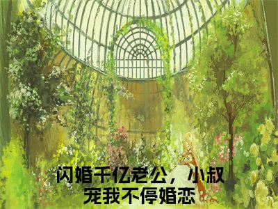 闪婚千亿老公，小叔宠我不停正版小说最新章节在线阅读-傅时霆楚婳（闪婚千亿老公，小叔宠我不停）全文无弹窗阅读