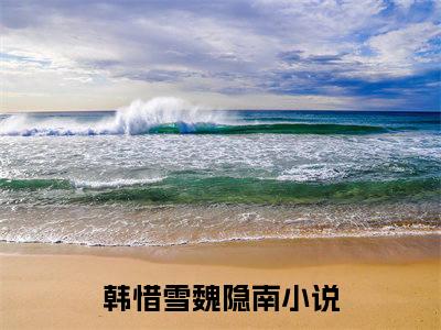 韩惜雪魏隐南免费阅读无弹窗最新章节列表_笔趣阁(韩惜雪魏隐南)