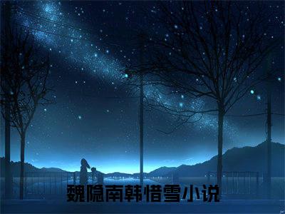 《魏隐南韩惜雪完整小说》魏隐南韩惜雪完结版全章节阅读