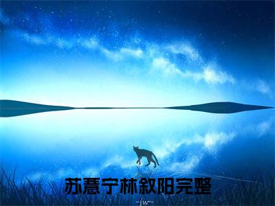 苏薏宁林叙阳最新小说全文阅读-抖音新书热荐苏薏宁林叙阳