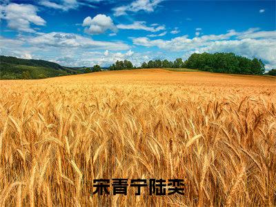 宋青宁陆奕（快穿：我靠生子系统宠冠后宫）全文免费阅读无弹窗_快穿：我靠生子系统宠冠后宫最新小说_笔趣阁