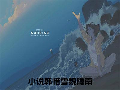 韩惜雪魏隐南免费小说 韩惜雪魏隐南全文在线阅读