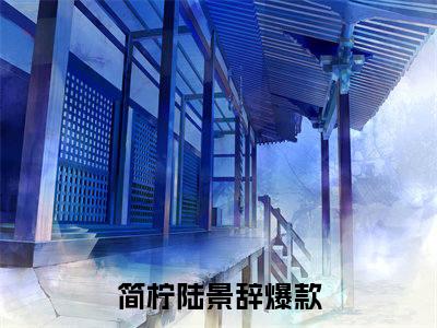 简柠陆景辞（简柠陆景辞）全文免费阅读无弹窗大结局_(简柠陆景辞免费阅读)最新章节列表_笔趣阁