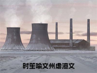 在他的温柔中陷落（完整版）小说推荐-在他的温柔中陷落热文小说时笙喻文州免费阅读全文