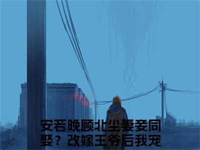 安若晚顾北尘小说免费阅读全文（安若晚顾北尘）全文免费阅读无弹窗大结局_妻妾同娶？改嫁王爷后我宠冠京城最新章节列表_笔趣阁（安若晚顾北尘）
