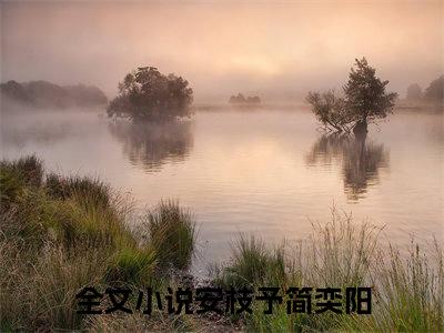 安枝予简奕阳大结局全文免费阅读最新章节_安枝予简奕阳大结局