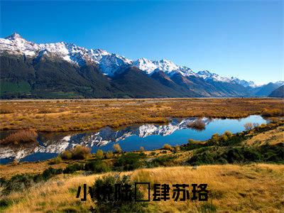 陆璟肆苏珞（陆璟肆苏珞）小说免费阅读完结版-陆璟肆苏珞小说全文免费阅读