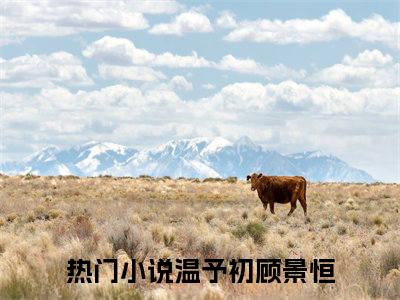温予初顾景恒小说无弹窗（温予初顾景恒）全文免费阅读无弹窗大结局_(温予初顾景恒）温予初顾景恒最新章节列表_笔趣阁（温予初顾景恒）