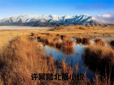 许棠陆北晟小说（许棠陆北晟）全文免费阅读_（许棠陆北晟）许棠陆北晟小说最新章节列表_笔趣阁（许棠陆北晟）