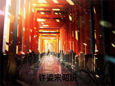 许姿宋昭沅免费阅读最新章节无弹窗 许姿宋昭沅完整版小说在线阅读