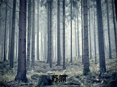 女神的偷心神医（苏原）全文小说在线阅读-女神的偷心神医全章节最新阅读
