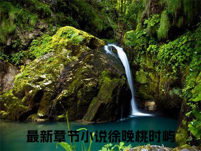 徐晚桃时屿（徐晚桃时屿）全文免费阅读无弹窗大结局_徐晚桃时屿全文免费阅读最新章节列表_笔趣阁