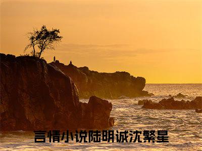 陆明诚沈繁星(陆明诚沈繁星)小说全文免费阅读无弹窗大结局_（陆明诚沈繁星全文免费阅读）陆明诚沈繁星最新章节列表笔趣阁（陆明诚沈繁星）