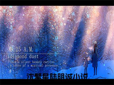 沈繁星陆明诚（沈繁星陆明诚小说）全文免费阅读无弹窗大结局_（沈繁星陆明诚无弹窗）