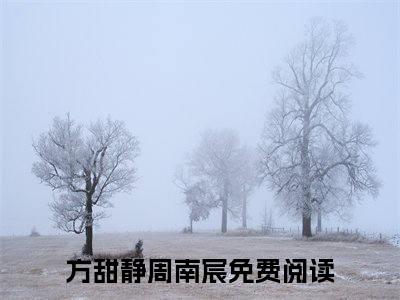 方甜静周南宸全文最新章节正版小说免费阅读