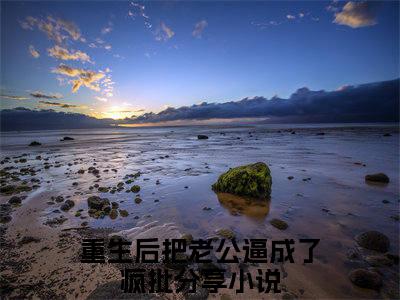 重生后把老公逼成了疯批全文免费在线阅读_（重生后把老公逼成了疯批免费阅读无弹窗）周念顾谨时全文免费完结版阅读（重生后把老公逼成了疯批）