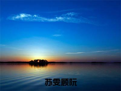 苏雯顾阮（苏雯顾阮）全文免费阅读大结局-（苏雯顾阮）最新章节阅读