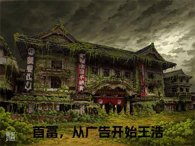 首富，从广告开始王浩小说免费阅读-小说推荐首富，从广告开始王浩精彩章节在线阅读
