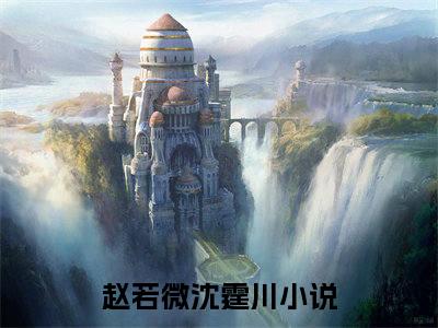 主角为赵若微沈霆川的小说-赵若微沈霆川小说全文免费阅读