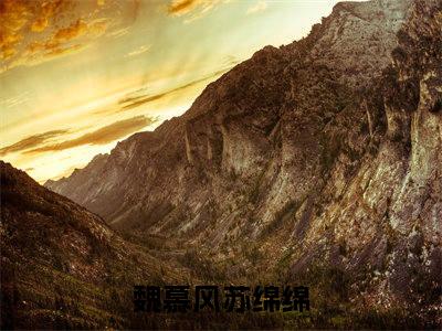 魏慕风苏绵绵热文结局在线阅读 魏慕风苏绵绵完整版小说