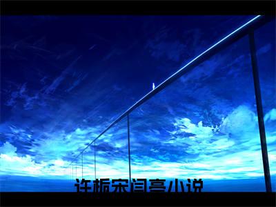 许栀宋闫亭(许栀宋闫亭)全文免费阅读无弹窗大结局_(许栀宋闫亭)许栀宋闫亭全文免费完结版阅读(许栀宋闫亭)