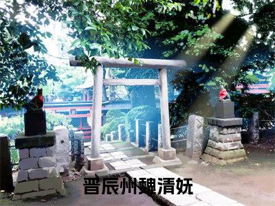 晋辰州魏清妩是什么小说-（晋辰州魏清妩）小说晋辰州魏清妩全文阅读
