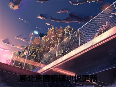沦陷，冷欲顾总回国后使劲撩我（顾北承唐初晴）全文免费阅读_（顾北承唐初晴）沦陷，冷欲顾总回国后使劲撩我最新章节小说免费阅读_笔趣阁（顾北承唐初晴）