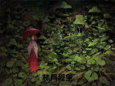 抖音热推林月程笙（林月程笙）免费小说-林月程笙小说完整版阅读