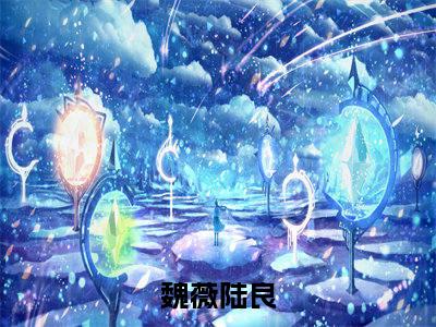 魏薇陆良全文免费阅读-魏薇陆良最新章节小说阅读