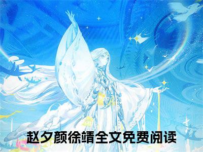 尽欢颜（赵夕颜徐靖）全文免费阅读无弹窗大结局_赵夕颜徐靖最新章节列表_