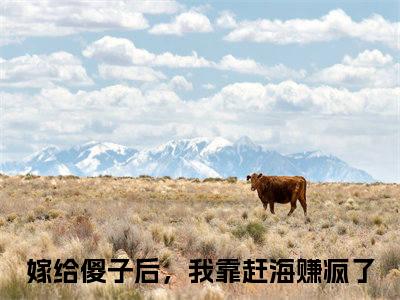 余年全网热搜（嫁给傻子后，我靠赶海赚疯了）是什么小说,余年免费阅读无弹窗