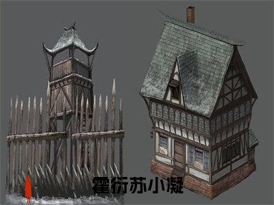 霍衍苏小凝小说叫什么-霍衍苏小凝全文阅读