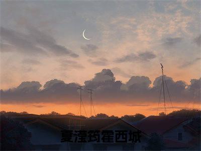 太爱太痛太伤夏滢筠霍西城老书虫推荐小说免费阅读_（太爱太痛太伤）完整版全文在线赏析