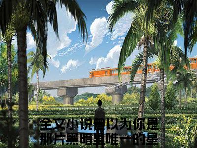 苏韫祝霆深（曾以为你是那片黑暗里唯一的星光)全文免费阅读无弹窗大结局_苏韫祝霆深最新章节列表_笔趣阁