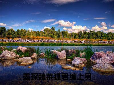 （狐君缠上身）最新免费小说大结局-小说狐君缠上身墨琛魏莱全文免费在线阅读