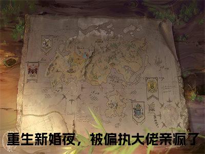 傅景琛时九念(重生新婚夜，被偏执大佬亲疯了小说)全文免费阅读无弹窗大结局_(重生新婚夜，被偏执大佬亲疯了小说免费阅读全文大结局)最新章节列表_笔趣阁（重生新婚夜，被偏执大佬亲疯了小说）