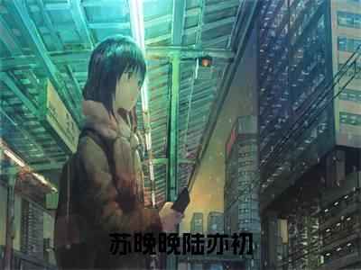 苏晚晚陆亦初(岁月不及你心狠)全文免费阅读无弹窗大结局_苏晚晚陆亦初免费阅读最新章节列表_笔趣阁（岁月不及你心狠）