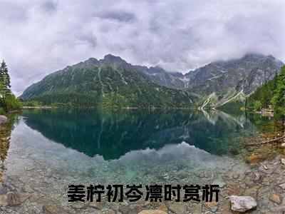 姜柠初岑凛时（姜柠初岑凛时）高收藏小说在线阅读-姜柠初岑凛时阅读结局