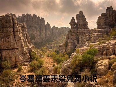岑寒凛姜未染在线阅读（岑寒凛姜未染）全文免费阅读大结局_岑寒凛姜未染免费最新章节列表_笔趣阁