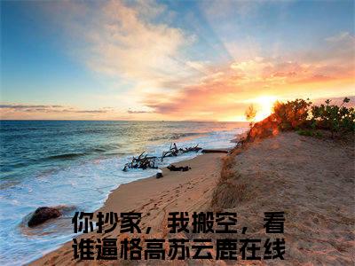 你抄家，我搬空，看谁逼格高苏云鹿(你抄家，我搬空，看谁逼格高苏云鹿)全文免费阅读大结局_你抄家，我搬空，看谁逼格高苏云鹿免费在线阅读_笔趣阁（你抄家，我搬空，看谁逼格高苏云鹿）