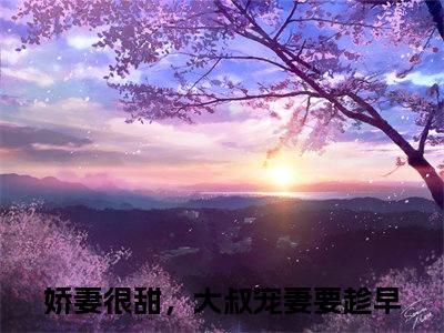 娇妻很甜，大叔宠妻要趁早（苏诺诺顾承厉）全文无弹窗大结局_娇妻很甜，大叔宠妻要趁早小说最新章节列表