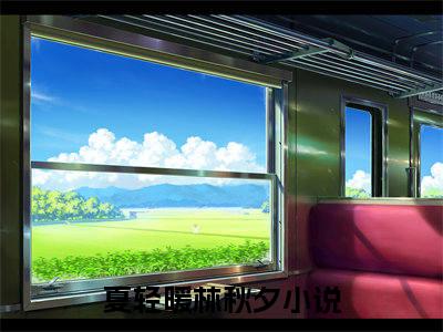 夏轻暖林秋夕（夏轻暖林秋夕）全文免费阅读无弹窗大结局_夏轻暖林秋夕最新章节列表阅读_笔趣阁